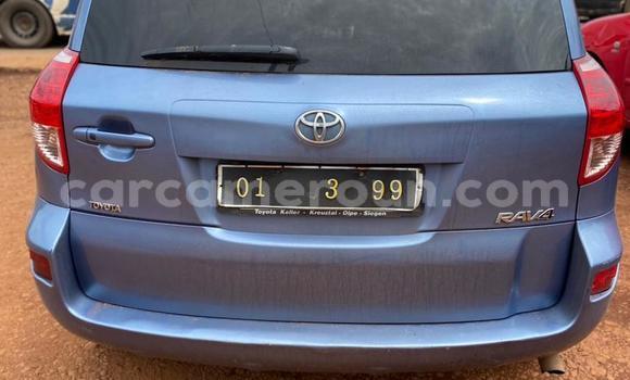 Buy New Toyota RAV4 Blue Car in Yaounde in Central Cameroon Buy New Toyota RAV4 Blue Car in Yaounde in Central Cameroon