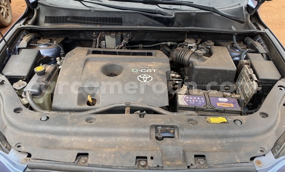 Buy New Toyota RAV4 Blue Car in Yaounde in Central Cameroon Buy New Toyota RAV4 Blue Car in Yaounde in Central Cameroon