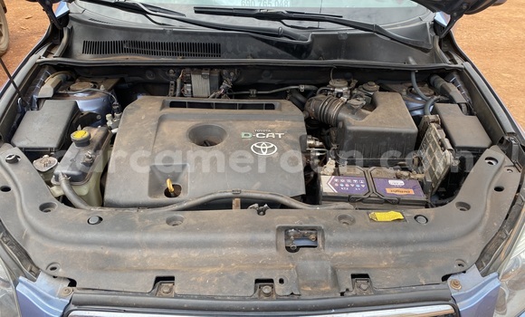 Buy New Toyota RAV4 Blue Car in Yaounde in Central Cameroon Buy New Toyota RAV4 Blue Car in Yaounde in Central Cameroon
