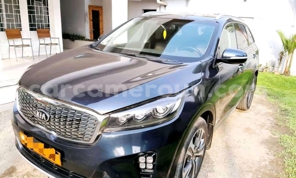 Acheter Occasion Voiture Kia Sorento Bleu à Douala, Littoral Cameroon
