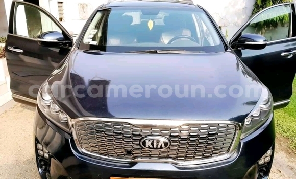 Buy Used Kia Sorento Blue Car in Douala in Littoral Cameroon Buy Used Kia Sorento Blue Car in Douala in Littoral Cameroon