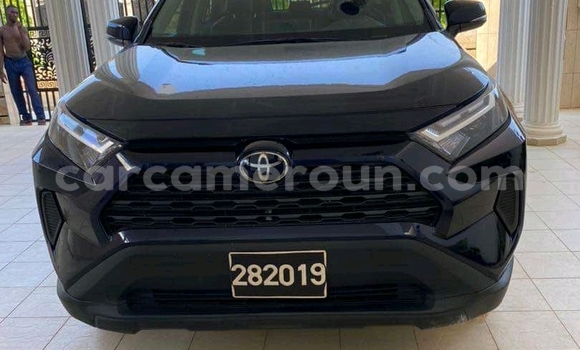 Acheter Import Voiture Toyota RAV4 Bleu à Douala, Littoral Cameroon