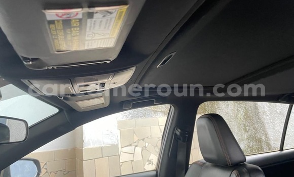 Buy New Toyota RAV4 Other Car in Yaounde in Central Cameroon Buy New Toyota RAV4 Other Car in Yaounde in Central Cameroon