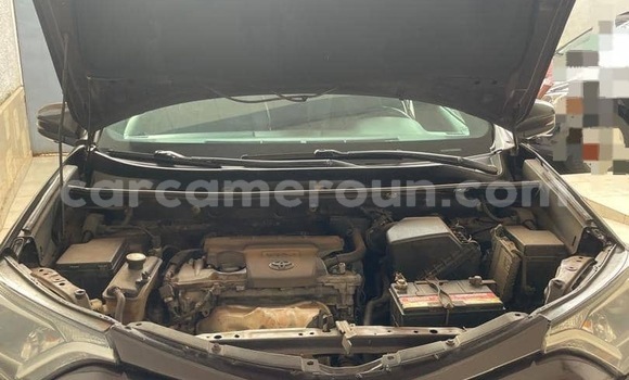 Buy New Toyota RAV4 Other Car in Yaounde in Central Cameroon Buy New Toyota RAV4 Other Car in Yaounde in Central Cameroon