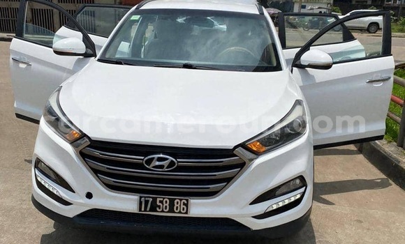 Buy New Hyundai Tucson White Car in Douala in Littoral Cameroon