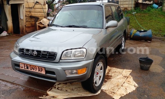 Buy Used Toyota RAV4 Silver Car in Yaounde in Central Cameroon