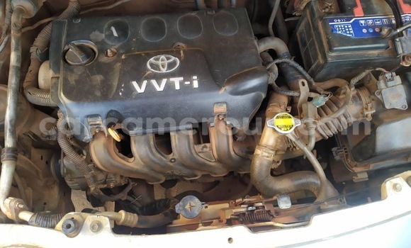 Buy New Toyota Yaris Silver Car in Yaounde in Central Cameroon Buy New Toyota Yaris Silver Car in Yaounde in Central Cameroon