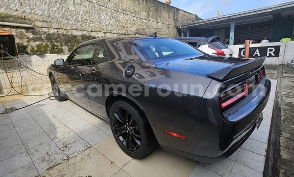 Sayi Na hannu Dodge Challenger Sauran Mota in Douala a Ƙasar Kamaru