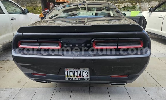 Acheter Occasion Voiture Dodge Challenger Autre à Douala, Littoral Cameroon Acheter Occasion Voiture Dodge Challenger Autre à Douala, Littoral Cameroon