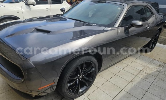 Acheter Occasion Voiture Dodge Challenger Autre à Douala, Littoral Cameroon Acheter Occasion Voiture Dodge Challenger Autre à Douala, Littoral Cameroon