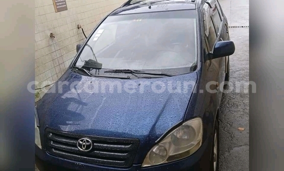 Sayi Na hannu Toyota Avensis Verso Blue Mota in Douala a Ƙasar Kamaru