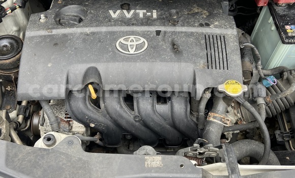 Sayi Imported Toyota IST White Mota in Douala a Ƙasar Kamaru Sayi Imported Toyota IST White Mota in Douala a Ƙasar Kamaru