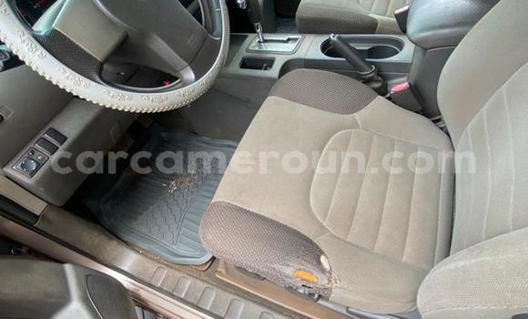 Sayi Sabo Nissan Xterra Brown Mota in Yaounde a Babban Kamaru Sayi Sabo Nissan Xterra Brown Mota in Yaounde a Babban Kamaru