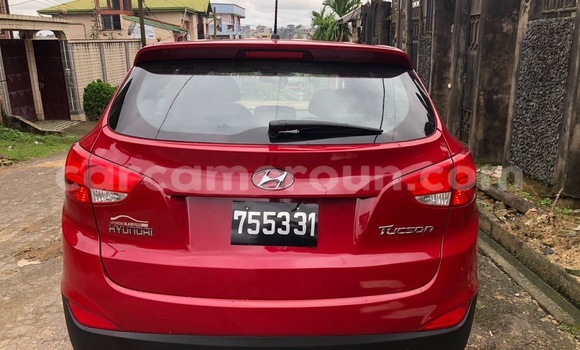 Buy Import Hyundai Tucson Red Car in Douala in Littoral Cameroon Buy Import Hyundai Tucson Red Car in Douala in Littoral Cameroon