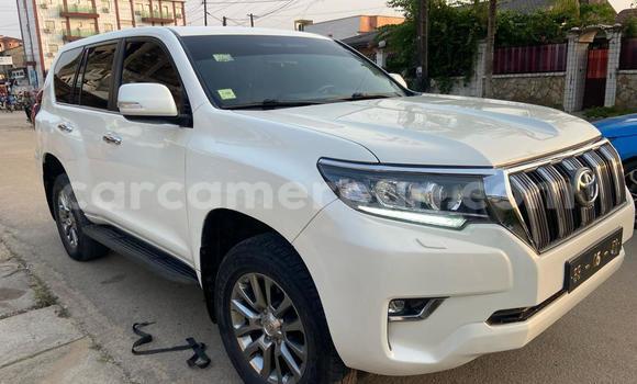 Sayi Imported Toyota Land Cruiser Prado White Mota in Douala a Ƙasar Kamaru