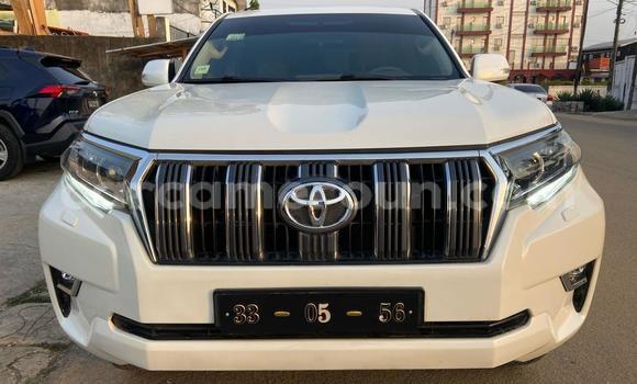 Buy Import Toyota Land Cruiser Prado White Car in Douala in Littoral Cameroon Buy Import Toyota Land Cruiser Prado White Car in Douala in Littoral Cameroon