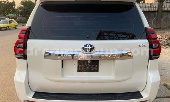 Buy Import Toyota Land Cruiser Prado White Car in Douala in Littoral Cameroon Buy Import Toyota Land Cruiser Prado White Car in Douala in Littoral Cameroon