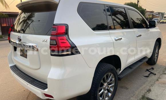 Buy Import Toyota Land Cruiser Prado White Car in Douala in Littoral Cameroon Buy Import Toyota Land Cruiser Prado White Car in Douala in Littoral Cameroon