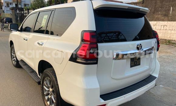 Buy Import Toyota Land Cruiser Prado White Car in Douala in Littoral Cameroon Buy Import Toyota Land Cruiser Prado White Car in Douala in Littoral Cameroon