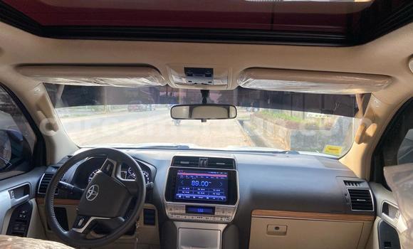 Buy Import Toyota Land Cruiser Prado White Car in Douala in Littoral Cameroon Buy Import Toyota Land Cruiser Prado White Car in Douala in Littoral Cameroon
