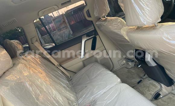 Buy Import Toyota Land Cruiser Prado White Car in Douala in Littoral Cameroon Buy Import Toyota Land Cruiser Prado White Car in Douala in Littoral Cameroon