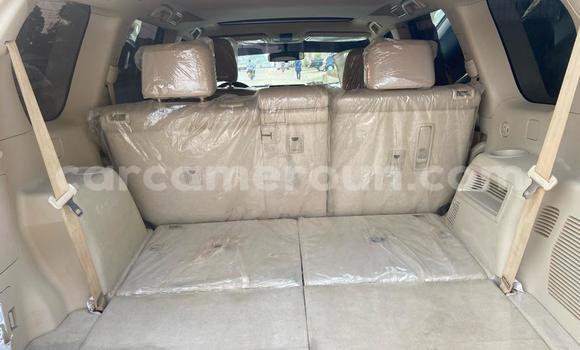 Buy Import Toyota Land Cruiser Prado White Car in Douala in Littoral Cameroon Buy Import Toyota Land Cruiser Prado White Car in Douala in Littoral Cameroon