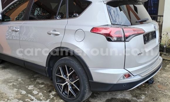 Buy Import Toyota RAV4 Silver Car in Douala in Littoral Cameroon Buy Import Toyota RAV4 Silver Car in Douala in Littoral Cameroon