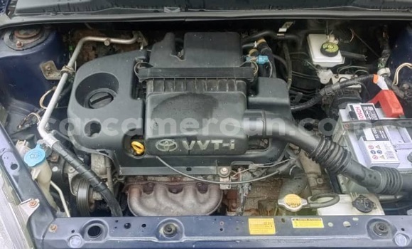 Buy New Toyota Yaris Blue Car in Douala in Littoral Cameroon Buy New Toyota Yaris Blue Car in Douala in Littoral Cameroon