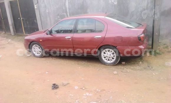 Acheter Occasion Voiture Nissan Primera Rouge à Douala, Littoral Cameroon