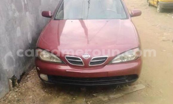 Acheter Occasion Voiture Nissan Primera Rouge à Douala, Littoral Cameroon Acheter Occasion Voiture Nissan Primera Rouge à Douala, Littoral Cameroon