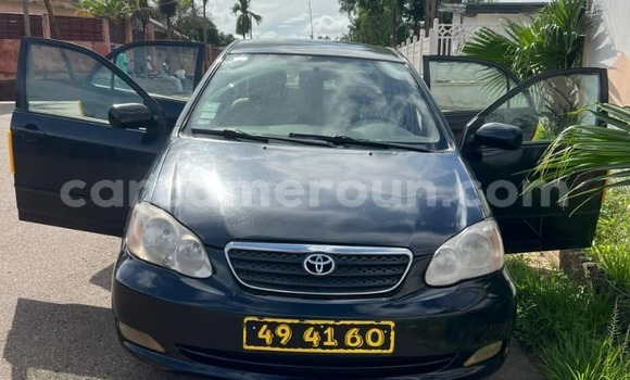 Sayi Na hannu Toyota Corolla Blue Mota in Yaounde a Babban Kamaru Sayi Na hannu Toyota Corolla Blue Mota in Yaounde a Babban Kamaru