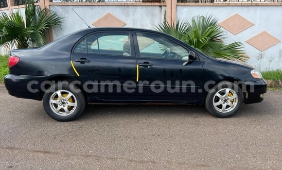 Sayi Na hannu Toyota Corolla Blue Mota in Yaounde a Babban Kamaru Sayi Na hannu Toyota Corolla Blue Mota in Yaounde a Babban Kamaru