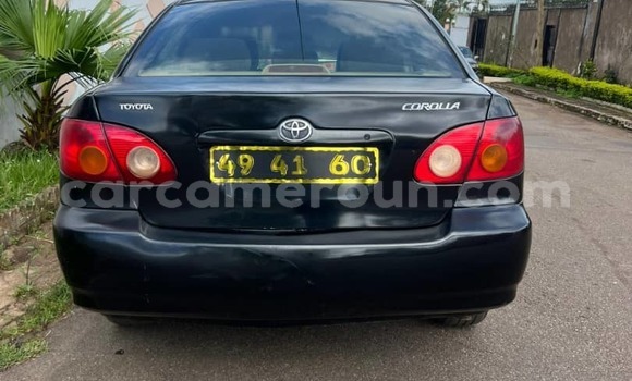 Sayi Na hannu Toyota Corolla Blue Mota in Yaounde a Babban Kamaru Sayi Na hannu Toyota Corolla Blue Mota in Yaounde a Babban Kamaru