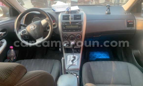 Acheter Occasion Voiture Toyota Corolla Gris à Douala, Littoral Cameroon Acheter Occasion Voiture Toyota Corolla Gris à Douala, Littoral Cameroon