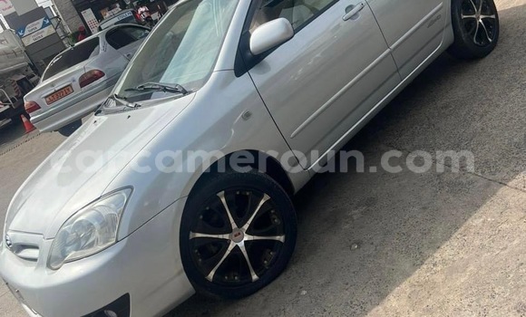 Sayi Na hannu Toyota Runx Azurfa Mota in Douala a Ƙasar Kamaru Sayi Na hannu Toyota Runx Azurfa Mota in Douala a Ƙasar Kamaru