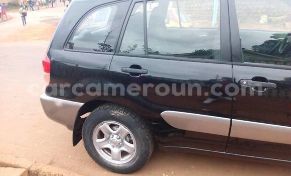 Buy Used Toyota RAV4 Black Car in Yaounde in Central Cameroon Buy Used Toyota RAV4 Black Car in Yaounde in Central Cameroon