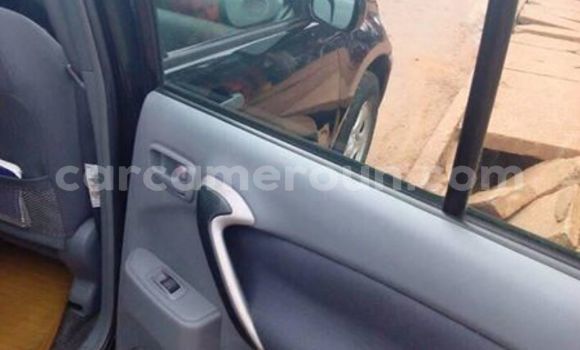 Buy Used Toyota RAV4 Black Car in Yaounde in Central Cameroon Buy Used Toyota RAV4 Black Car in Yaounde in Central Cameroon