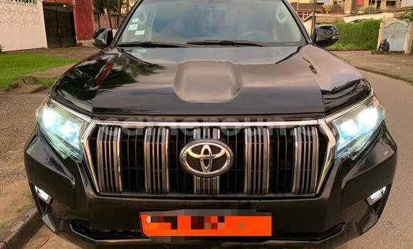 Acheter Occasion Voiture Toyota Prado Noir à Douala, Littoral Cameroon