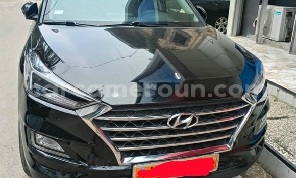 Buy Used Hyundai Tucson Black Car in Douala in Littoral Cameroon