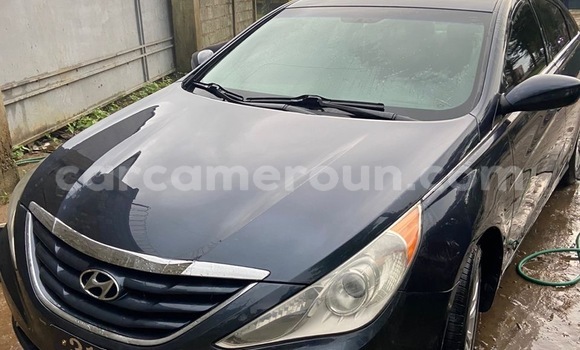 Acheter Import Voiture Hyundai Santa Fe Autre à Douala, Littoral Cameroon