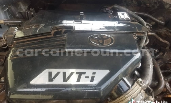 Sayi Na hannu Toyota DA Black Babbar mota in Douala a Ƙasar Kamaru