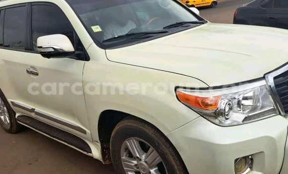Buy Import Toyota Land Cruiser White Car in Douala in Littoral Cameroon
