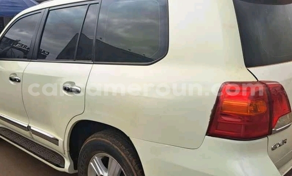 Sayi Imported Toyota Land Cruiser White Mota in Douala a Ƙasar Kamaru Sayi Imported Toyota Land Cruiser White Mota in Douala a Ƙasar Kamaru