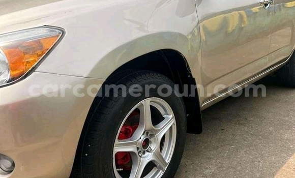 Buy Used Toyota RAV4 Beige Car in Douala in Littoral Cameroon