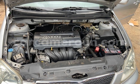 Acheter Occasion Voiture Toyota Corolla Autre à Yaoundé, Central Cameroon Acheter Occasion Voiture Toyota Corolla Autre à Yaoundé, Central Cameroon