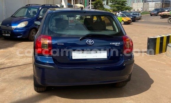 Buy Used Toyota Corolla Blue Car in Yaounde in Central Cameroon Buy Used Toyota Corolla Blue Car in Yaounde in Central Cameroon