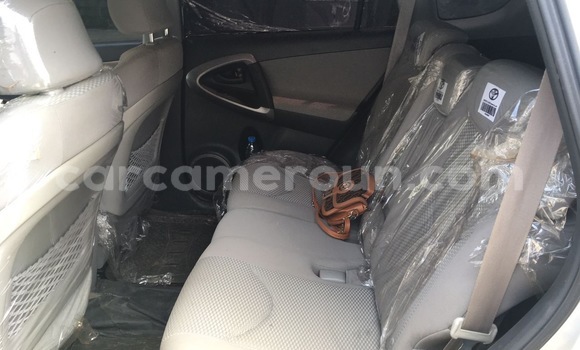 Sayi Imported Toyota RAV4 Azurfa Mota in Douala a Ƙasar Kamaru Sayi Imported Toyota RAV4 Azurfa Mota in Douala a Ƙasar Kamaru