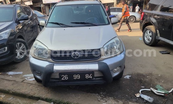 Acheter Import Voiture Toyota RAV4 Gris à Douala, Littoral Cameroon