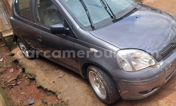 Buy Used Toyota Yaris Silver Car in Douala in Littoral Cameroon