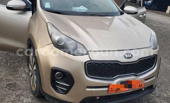 Buy Used Kia Sportage Beige Car in Douala in Littoral Cameroon